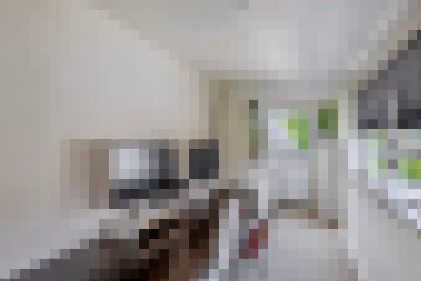 Hoogstraat 138 Eindhoven thumbnail 31