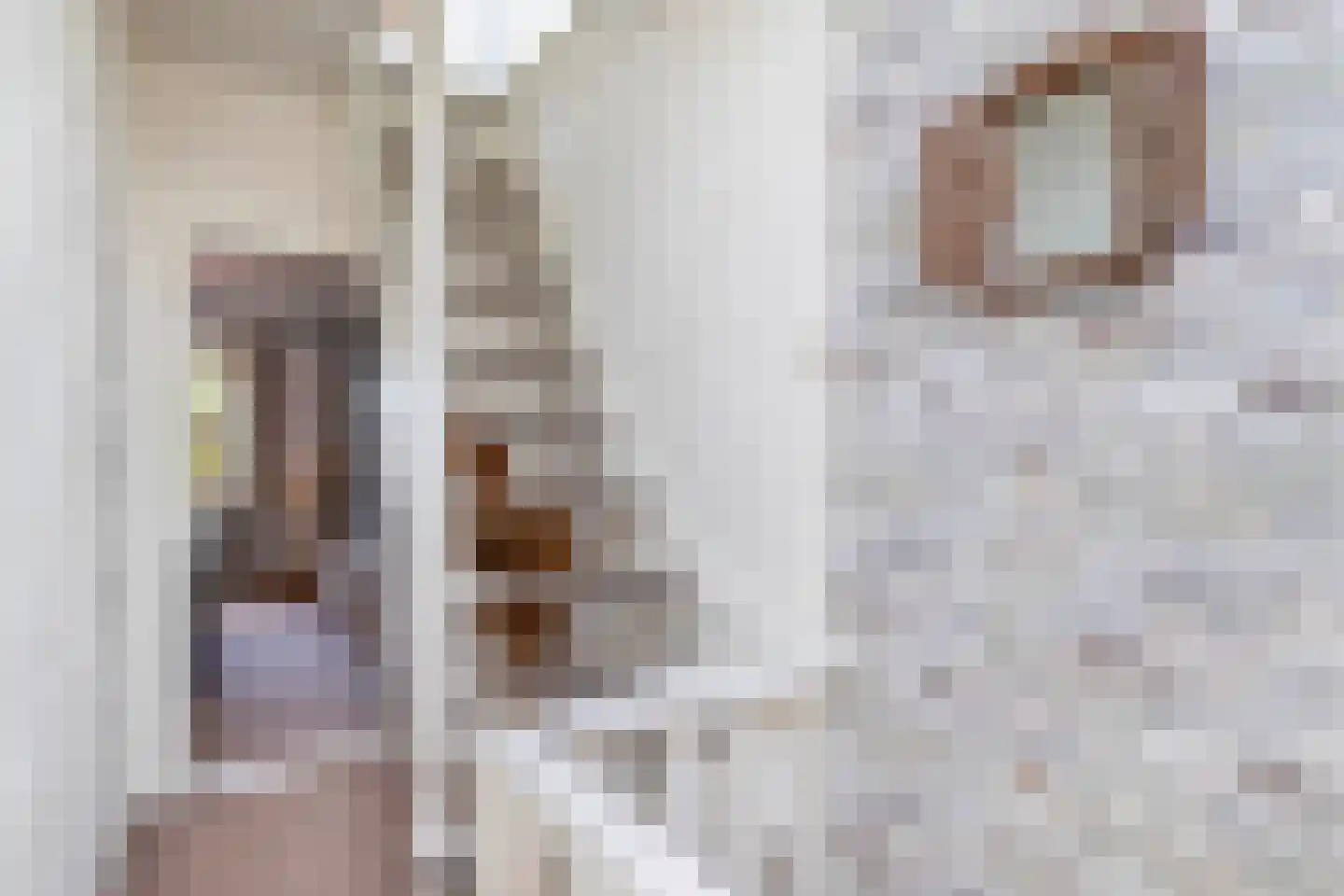 Hoogstraat 138 Eindhoven thumbnail 32