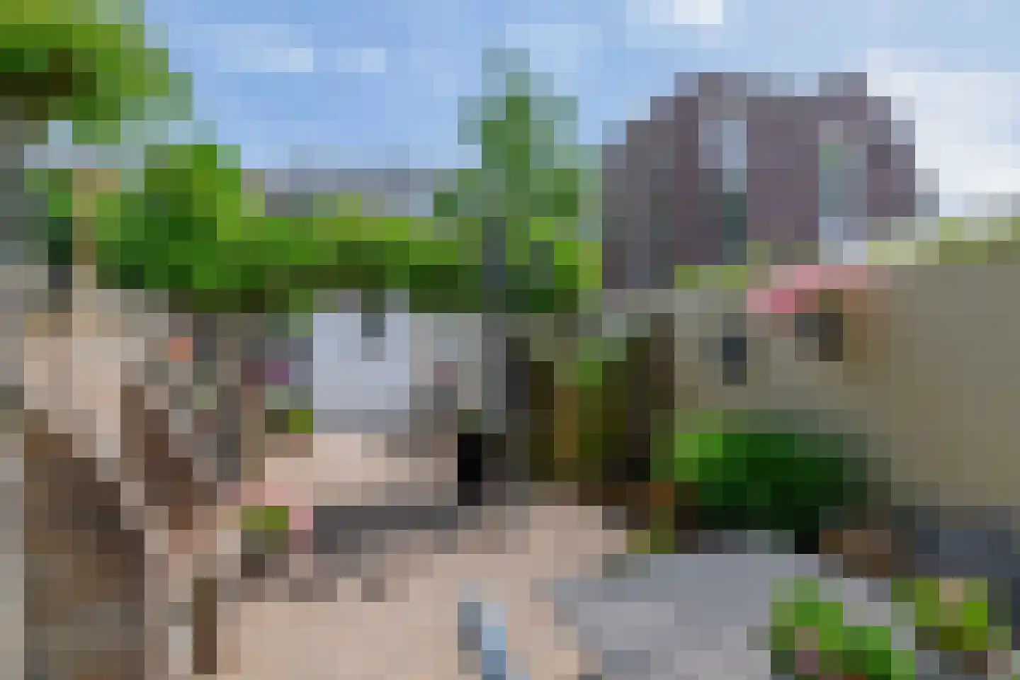 Hoogstraat 138 Eindhoven thumbnail 37