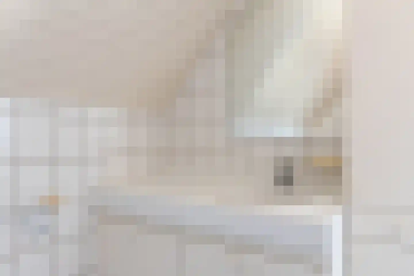 Hoogstraat 14 Asten thumbnail 30