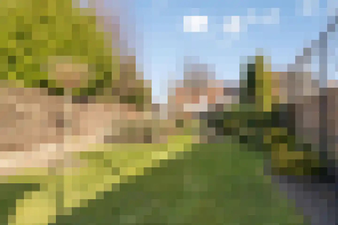 Hoogstraat 14 Asten thumbnail 8