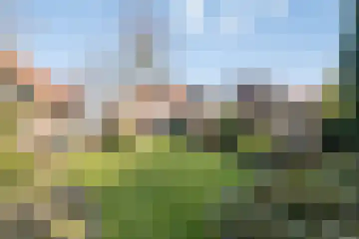 Hoogstraat 14 Asten thumbnail 9