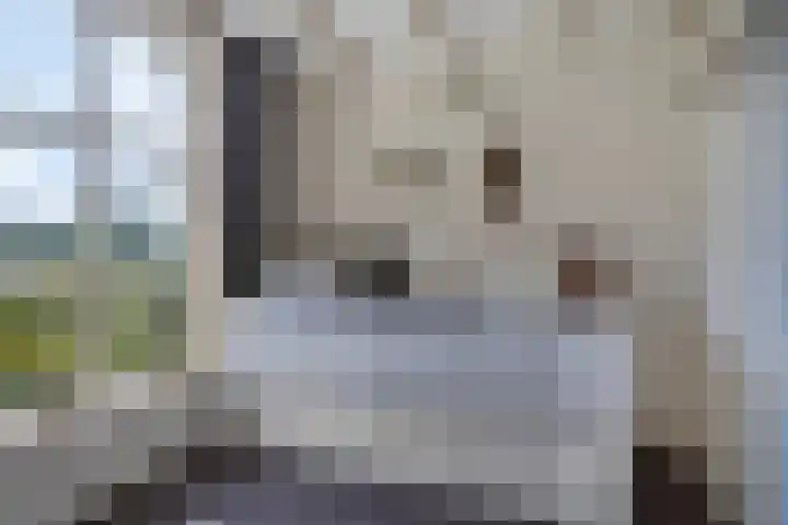 Hoogstraat 14 Ewijk thumbnail 17