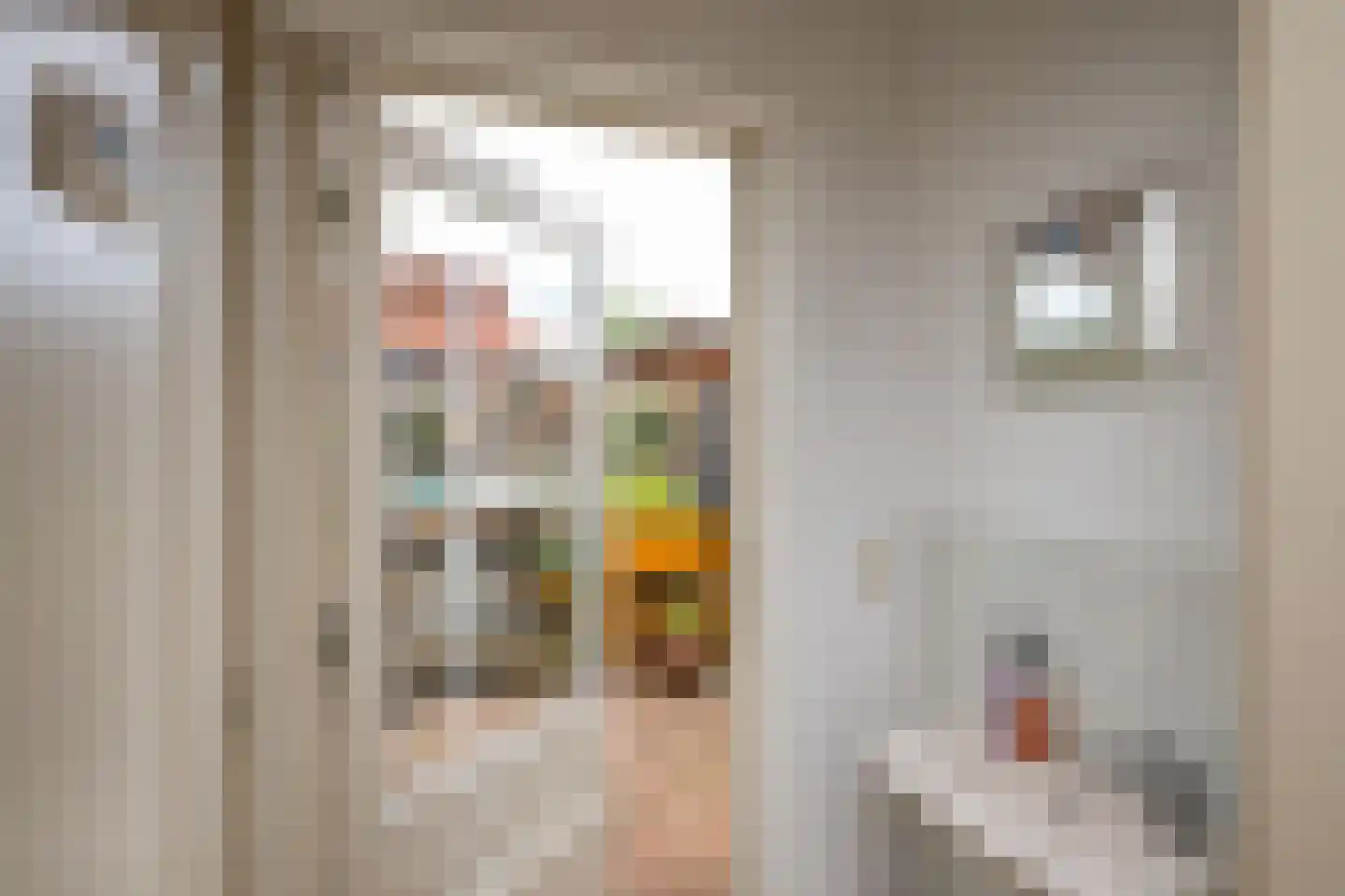Hoogstraat 14 Hilversum thumbnail 13