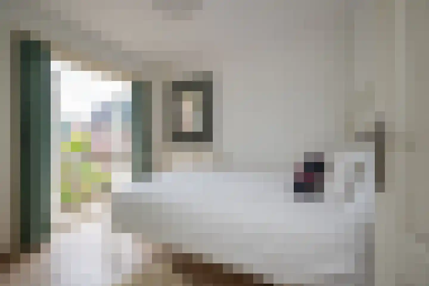 Hoogstraat 14 Hilversum thumbnail 16