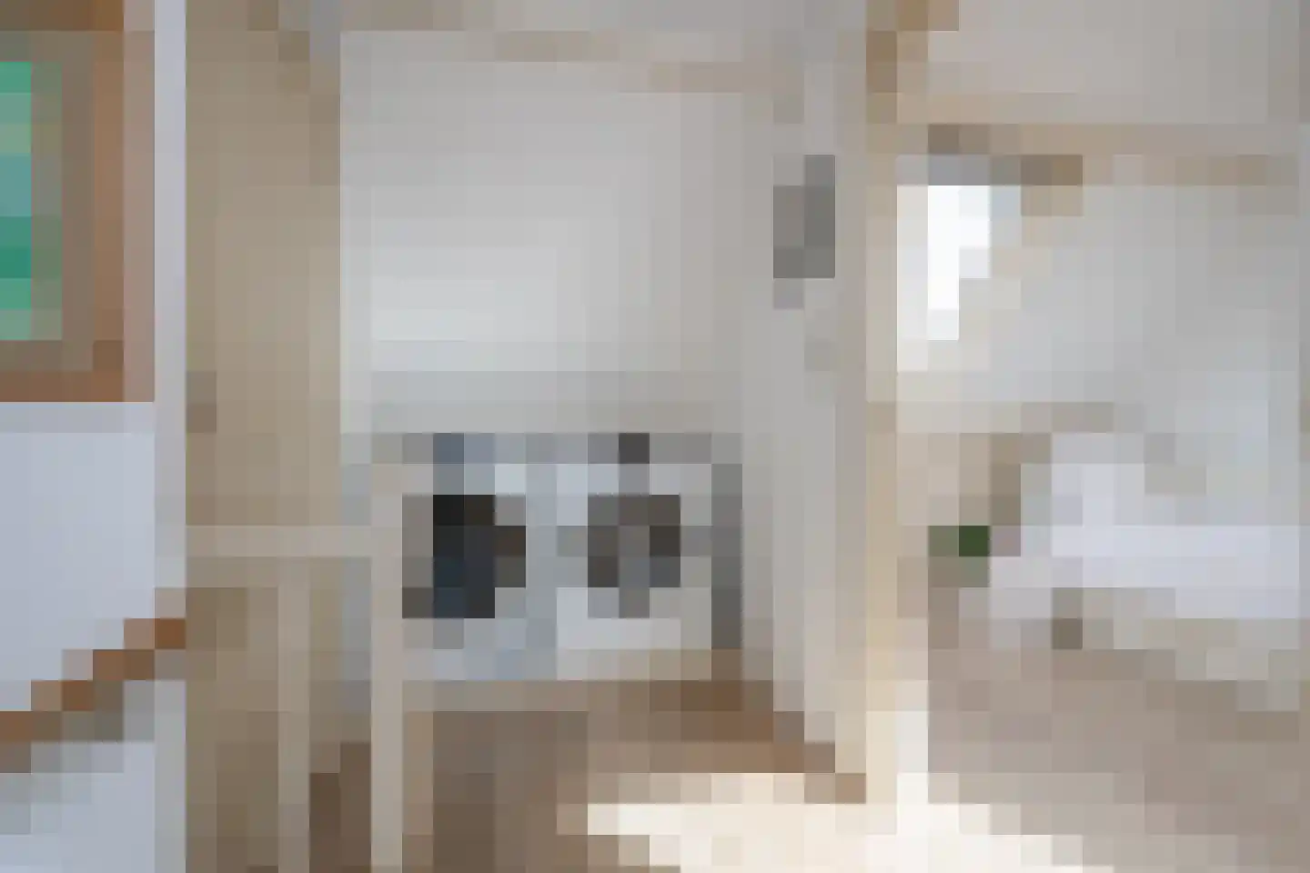 Hoogstraat 14 Hilversum thumbnail 27