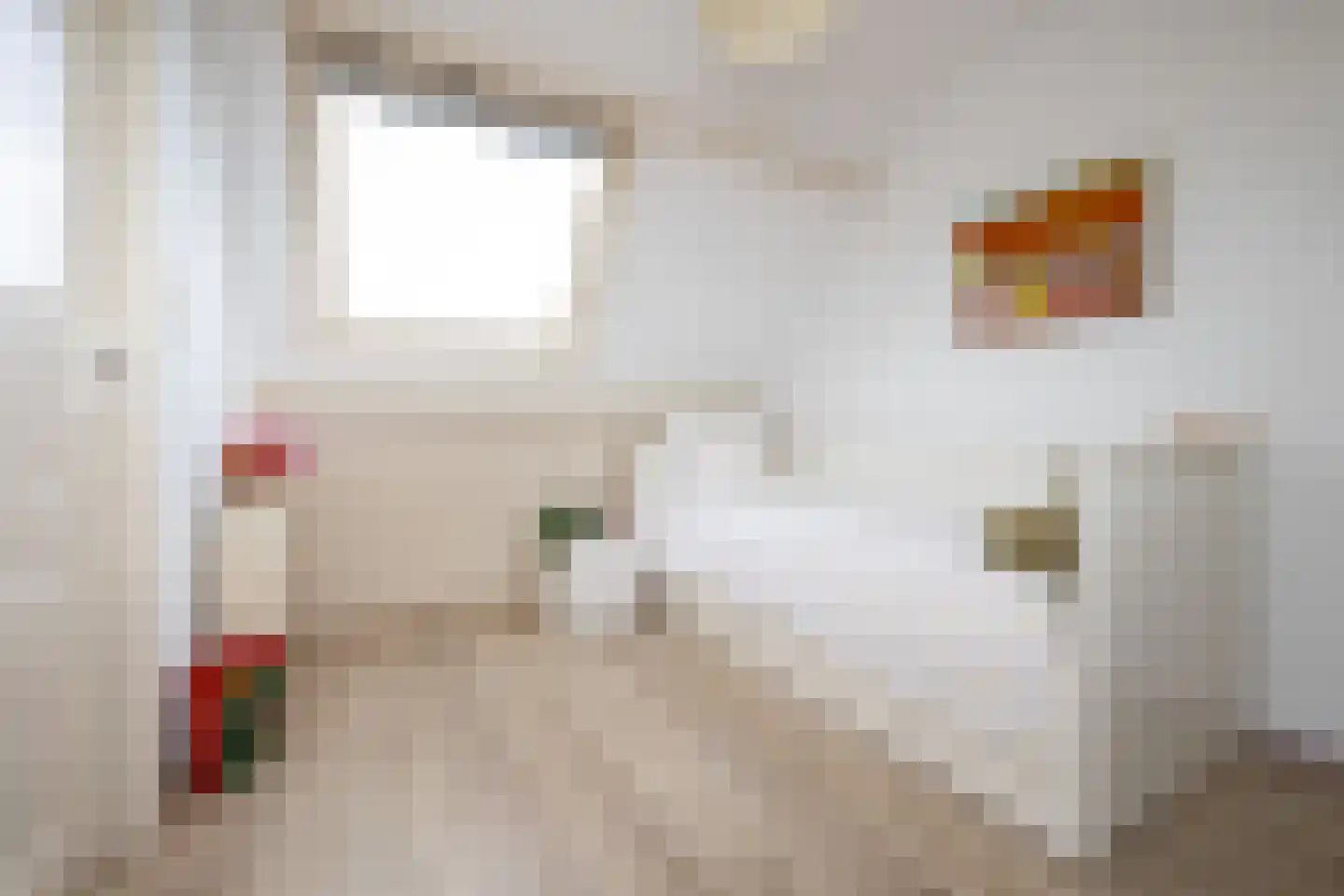 Hoogstraat 14 Hilversum thumbnail 28