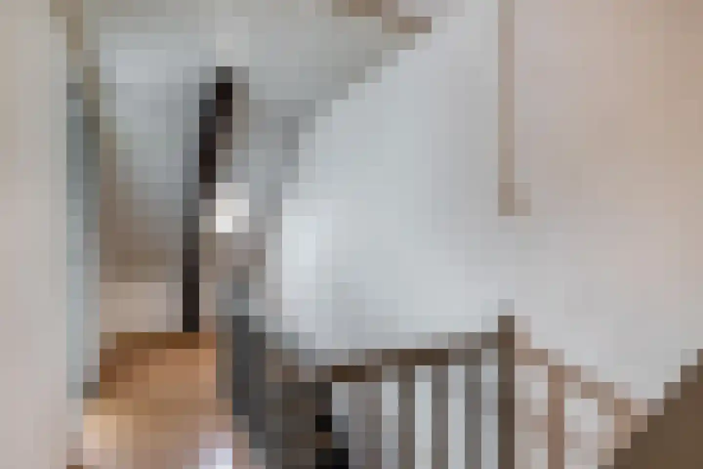 Hoogstraat 14 Thorn thumbnail 30