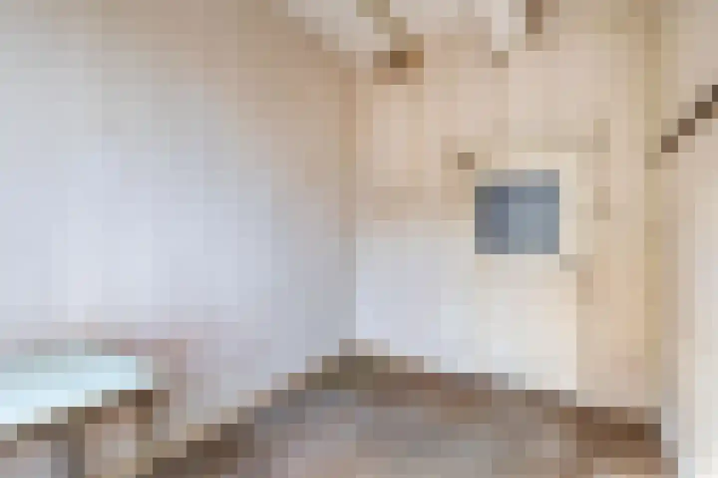 Hoogstraat 14 Thorn thumbnail 31
