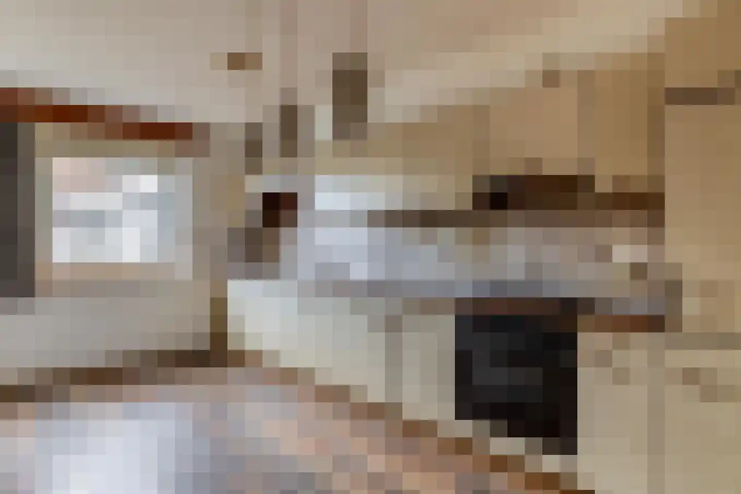 Hoogstraat 14 Thorn thumbnail 4