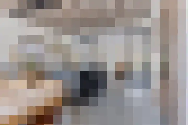Hoogstraat 140 Berlicum thumbnail 11