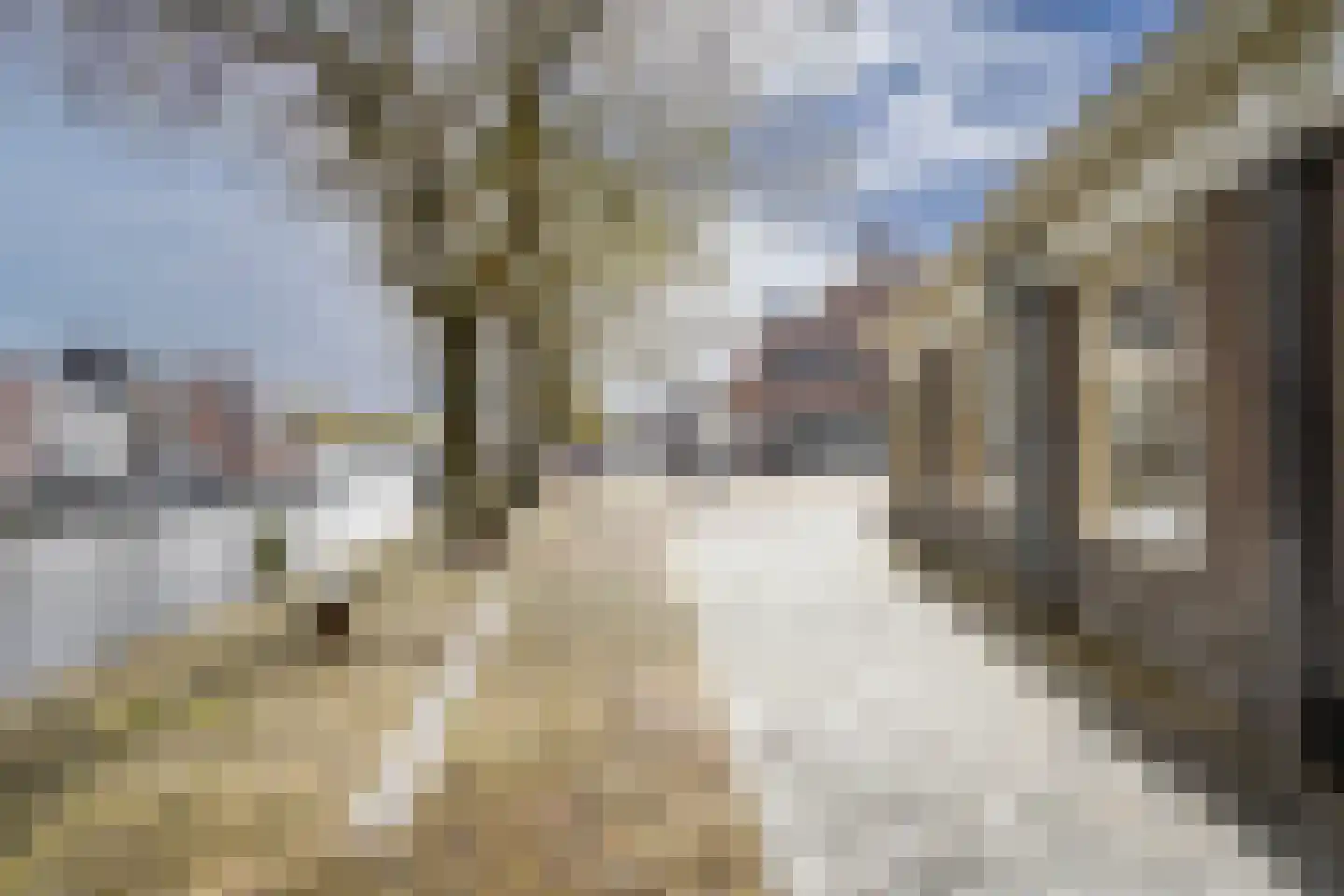 Hoogstraat 144 A Vlaardingen thumbnail 20
