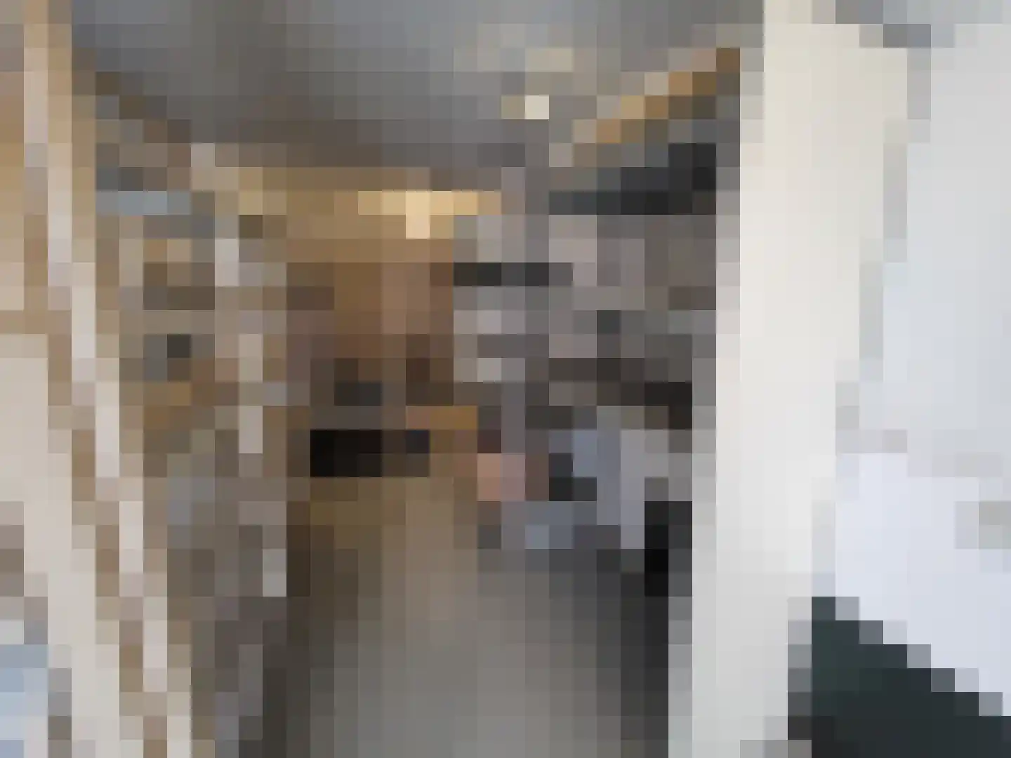 Hoogstraat 144 Vlaardingen thumbnail 24