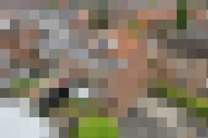 Hoogstraat 146 Zwolle thumbnail 4