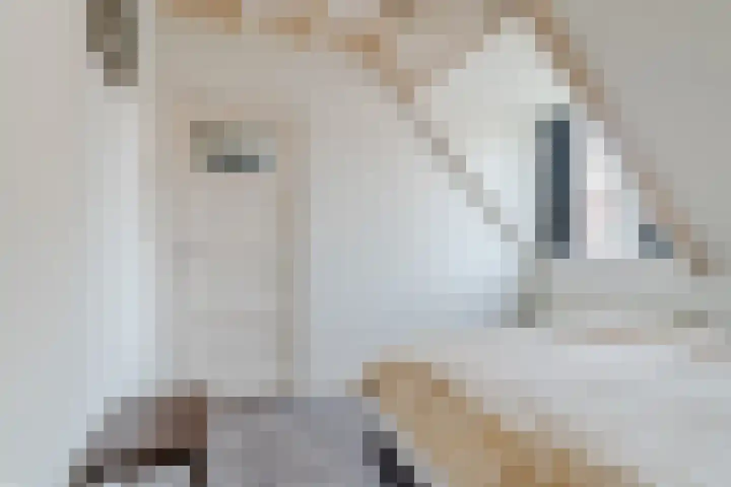Hoogstraat 15 Wijk bij Duurstede thumbnail 24