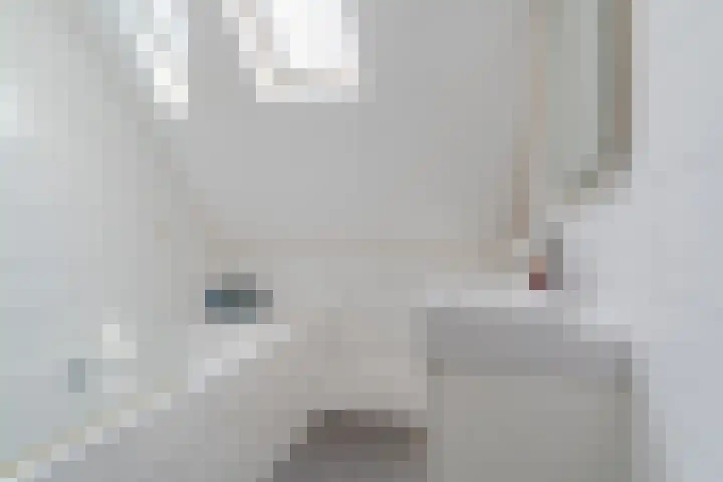 Hoogstraat 15 Wijk bij Duurstede thumbnail 28