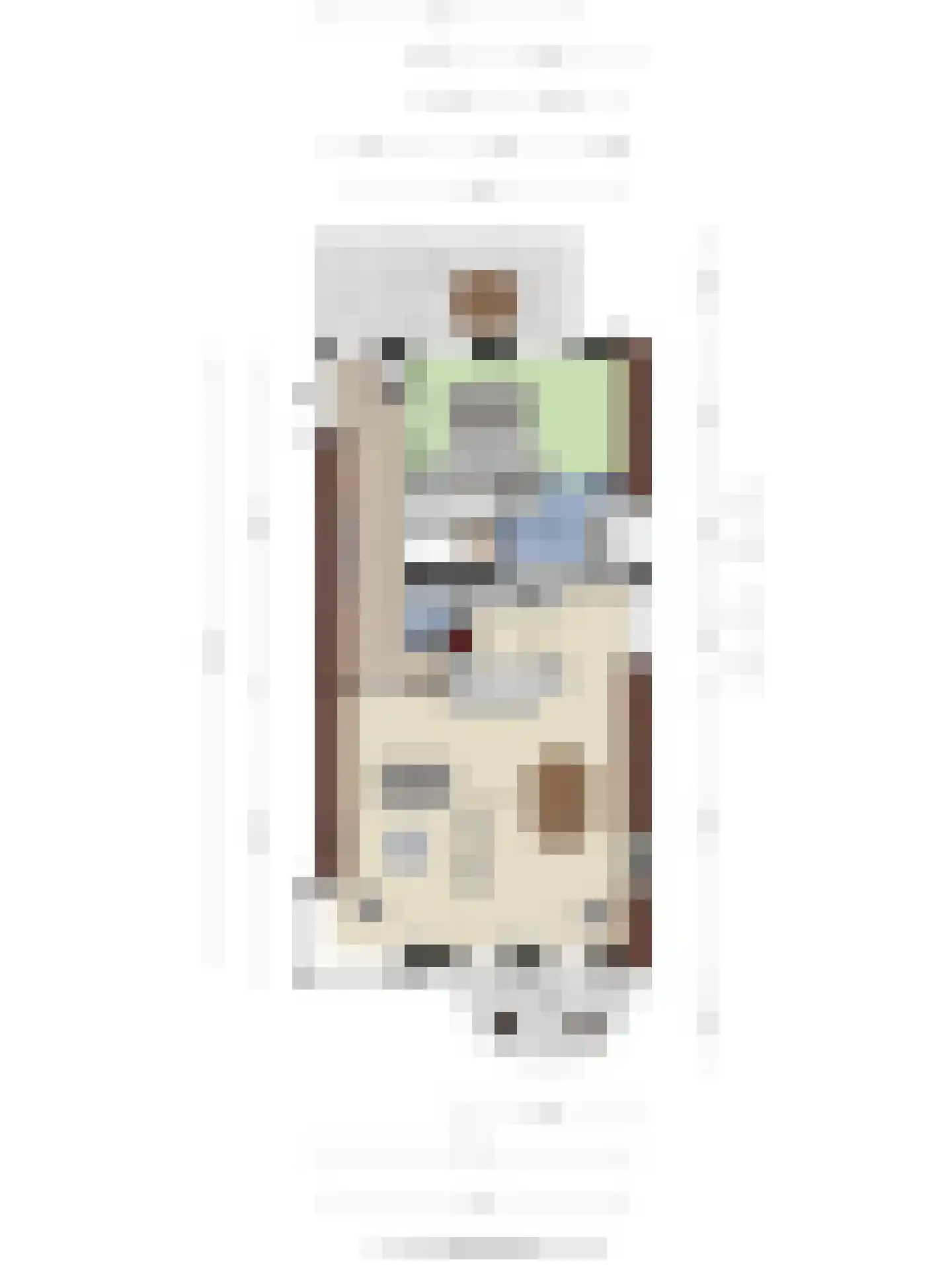 Hoogstraat 154 A Berlicum thumbnail 54