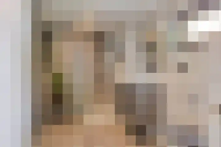 Hoogstraat 16 e Werkendam thumbnail 27
