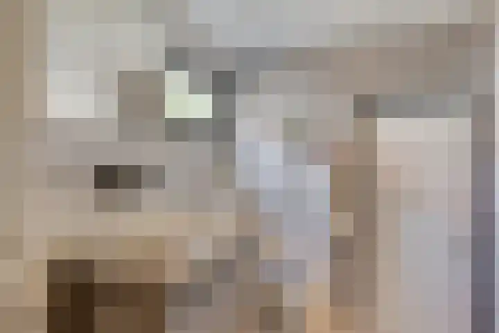 Hoogstraat 16 e Werkendam thumbnail 28