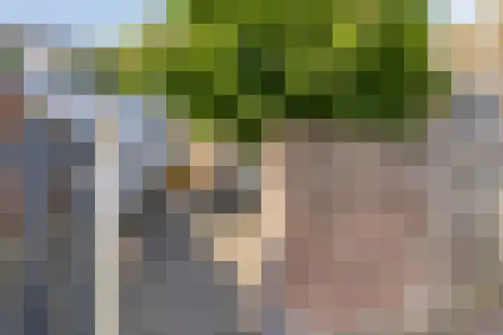 Hoogstraat 16 e Werkendam thumbnail 34