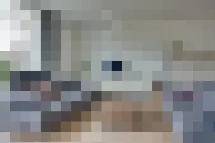 Hoogstraat 17 Heesch thumbnail 10