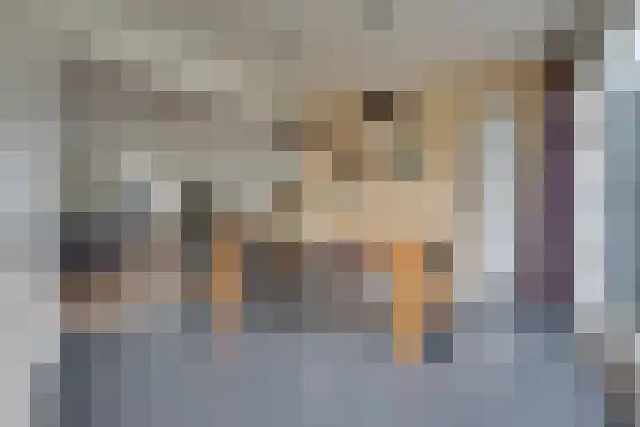 Hoogstraat 17 Heesch thumbnail 17