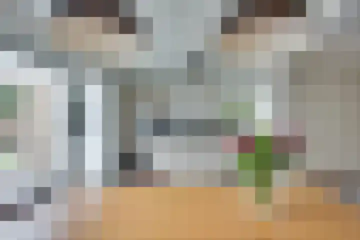Hoogstraat 17 Heesch thumbnail 18