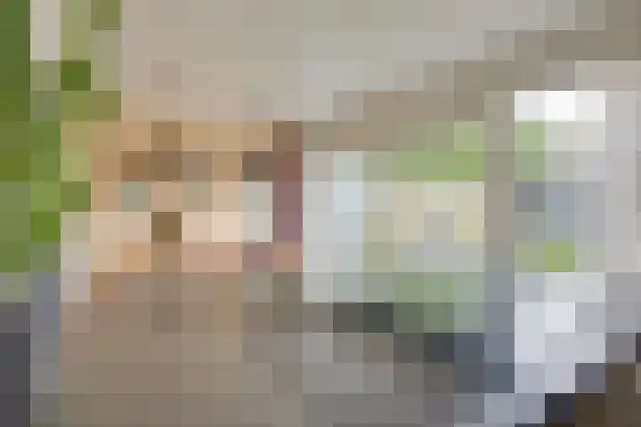 Hoogstraat 17 Heesch thumbnail 20