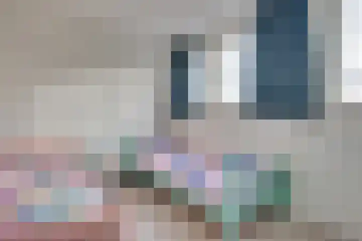 Hoogstraat 17 Heesch thumbnail 30