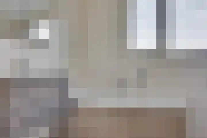 Hoogstraat 17 Heesch thumbnail 32