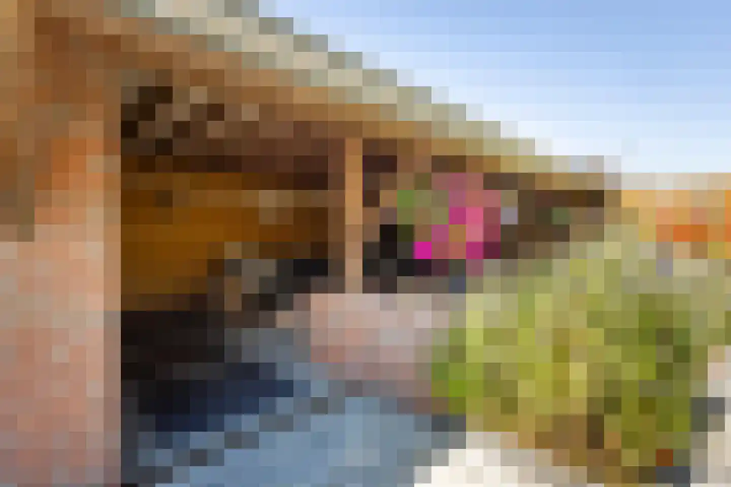 Hoogstraat 17 Leerbroek thumbnail 38