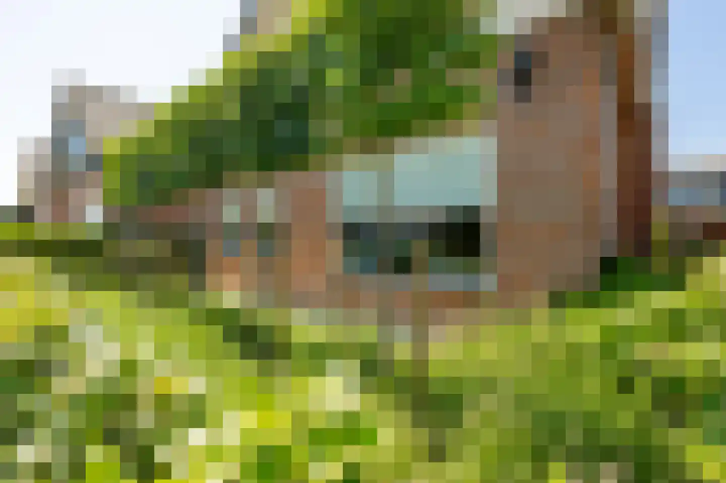 Hoogstraat 17 Leerbroek thumbnail 48