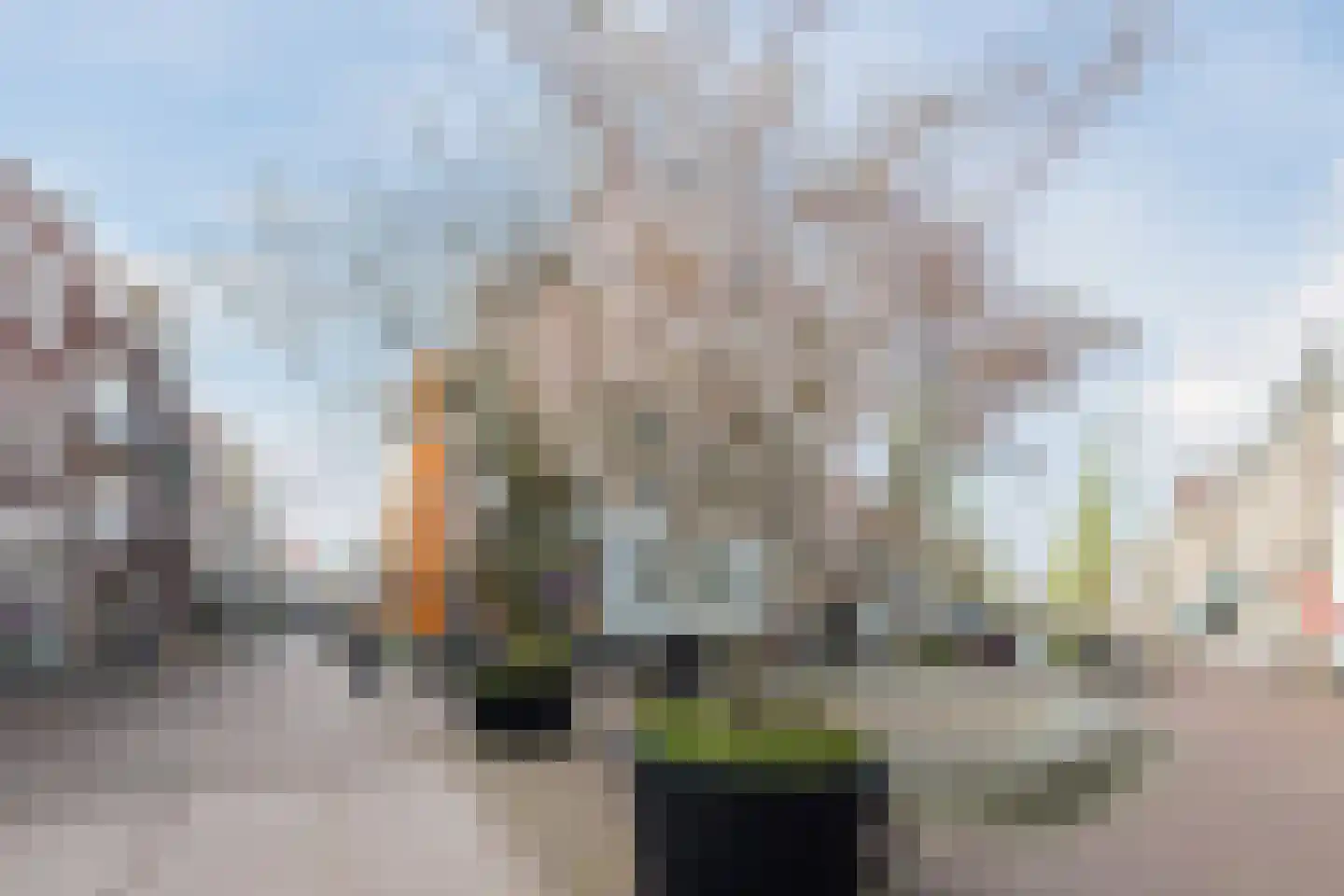 Hoogstraat 18 b Gouda thumbnail 38