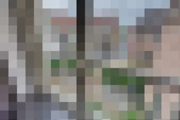 Hoogstraat 18 Harderwijk thumbnail 29