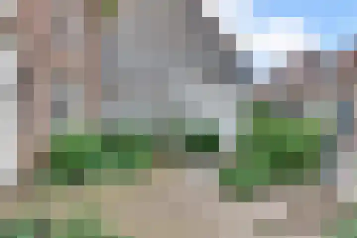 Hoogstraat 18 Harderwijk thumbnail 53