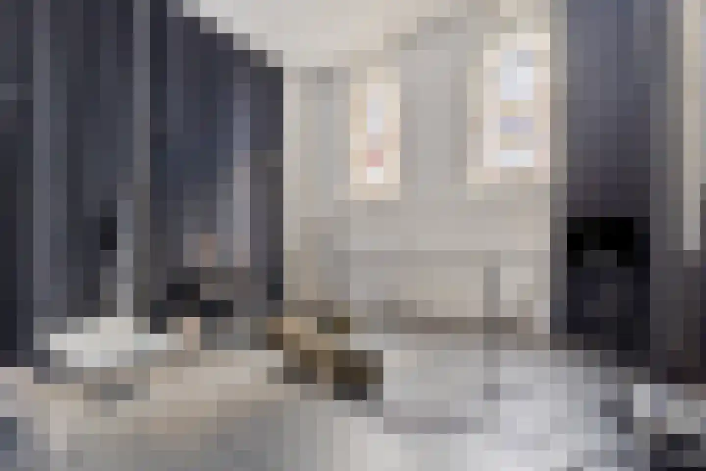 Hoogstraat 18 Middelburg thumbnail 30