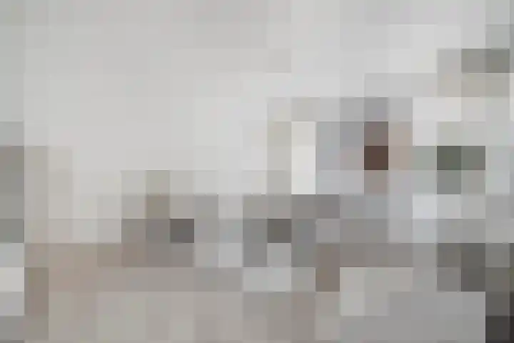Hoogstraat 18 Zwolle thumbnail 5