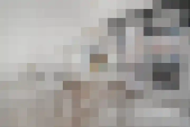 Hoogstraat 18 Zwolle thumbnail 9