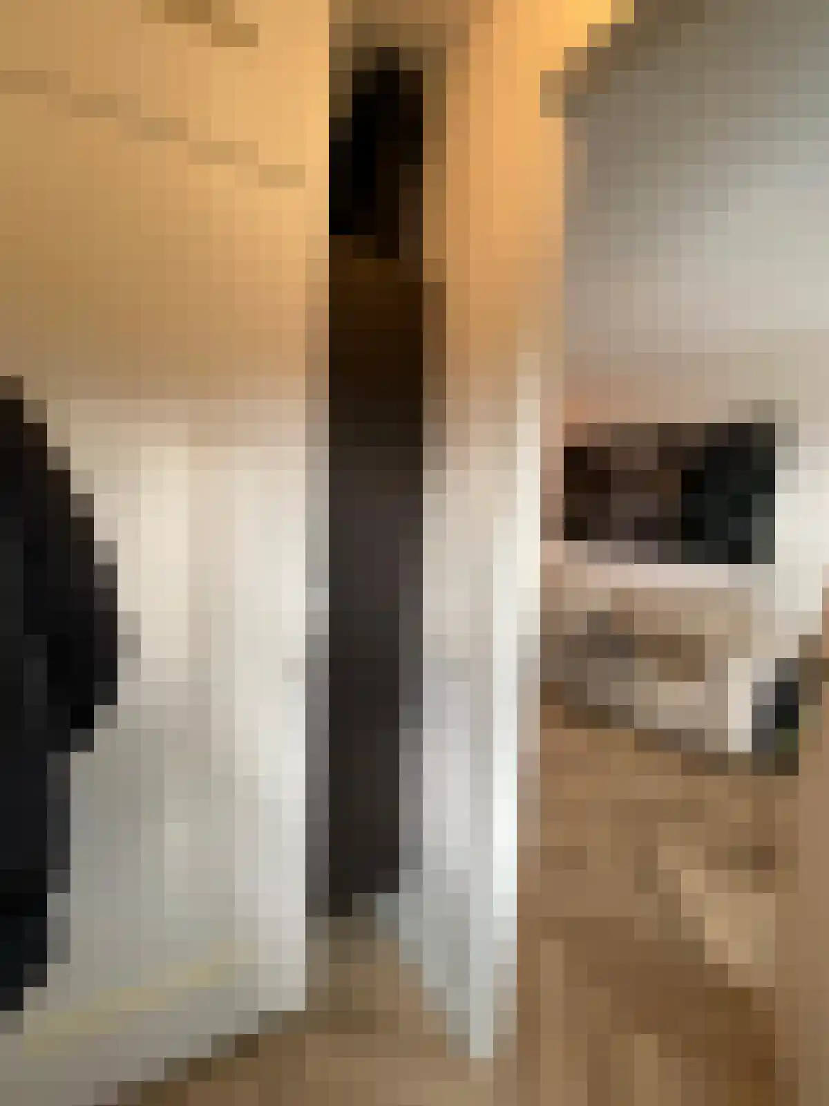 Hoogstraat 185 Eindhoven thumbnail 5