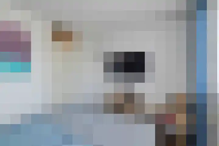 Hoogstraat 187 Eindhoven thumbnail 31