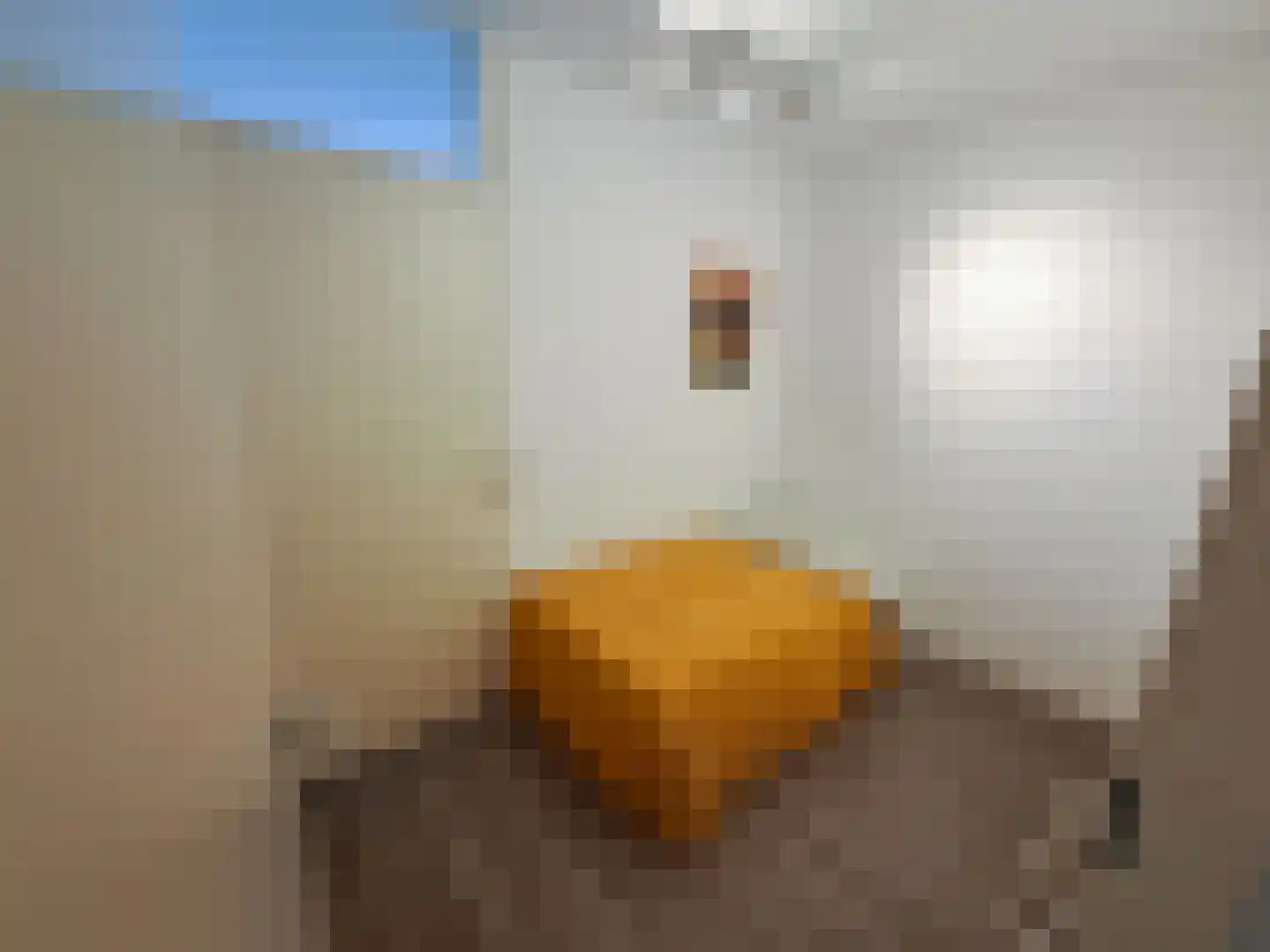 Hoogstraat 188 A Eindhoven thumbnail 18