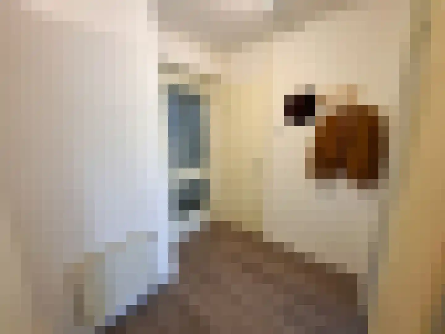 Hoogstraat 188 A Eindhoven thumbnail 4
