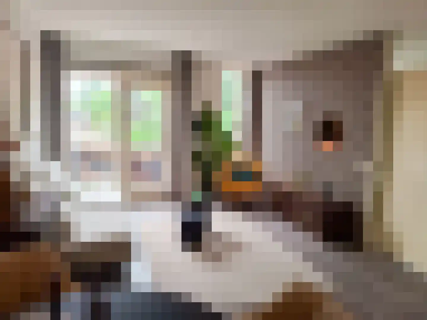 Hoogstraat 188 A Eindhoven thumbnail 6