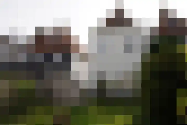 Hoogstraat 19 Sluis thumbnail 25