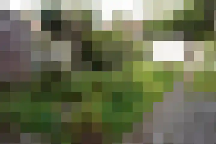 Hoogstraat 19 Sluis thumbnail 27