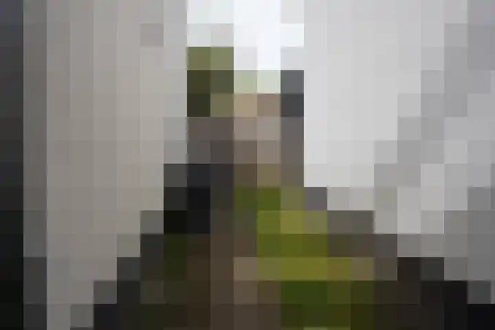 Hoogstraat 19 Sluis thumbnail 31