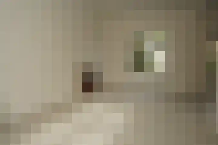 Hoogstraat 19 Sluis thumbnail 5