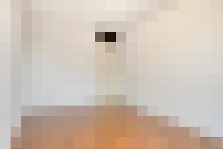 Hoogstraat 190 A Eindhoven thumbnail 11