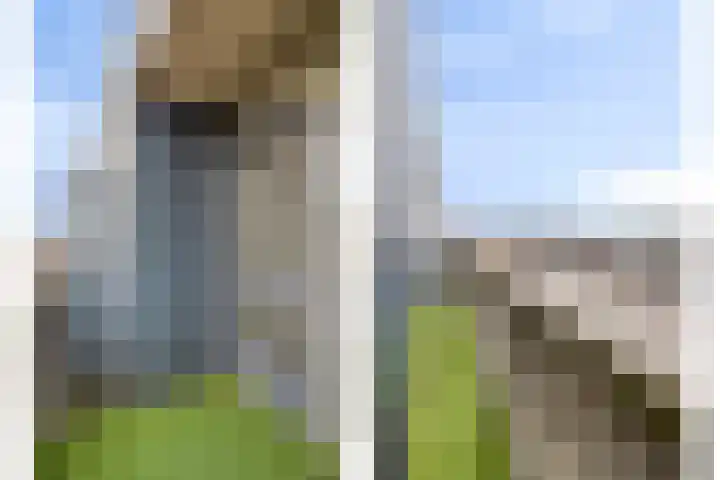 Hoogstraat 190 A Eindhoven thumbnail 14