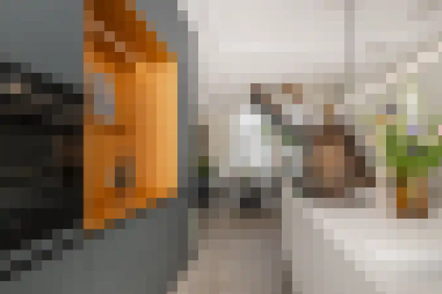 Hoogstraat 198 in Schiedam